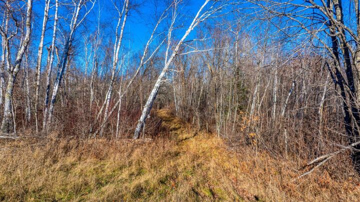 Property Photo: Tbd Gillman Road NE MN 56667