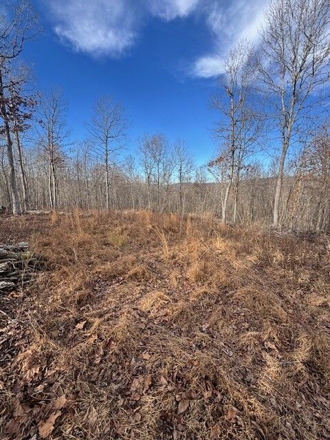 Property Photo:  Madison 3175  AR 72776 