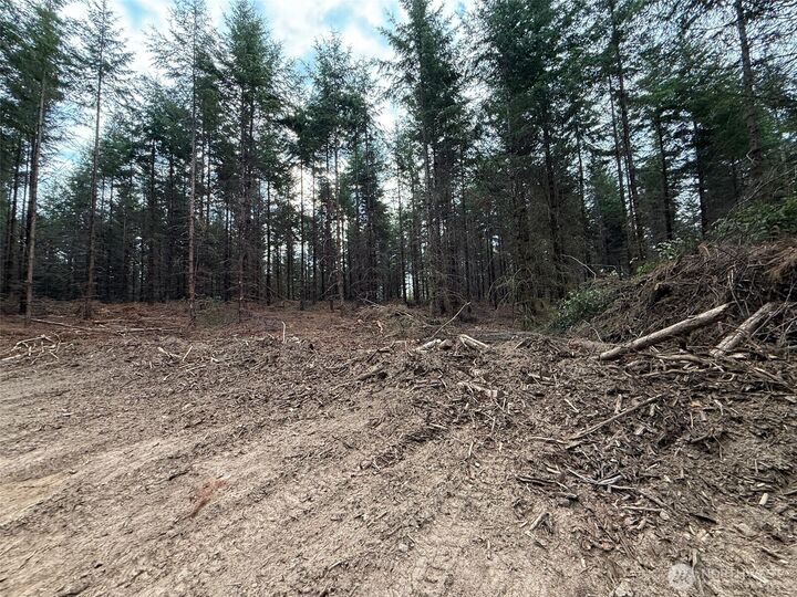 Property Photo:  216 Xx  Zenkner Valley Road SW  WA 98531 