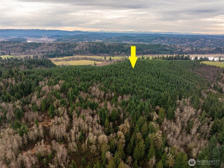 Property Photo:  216 Xx  Zenkner Valley Road SW  WA 98531 