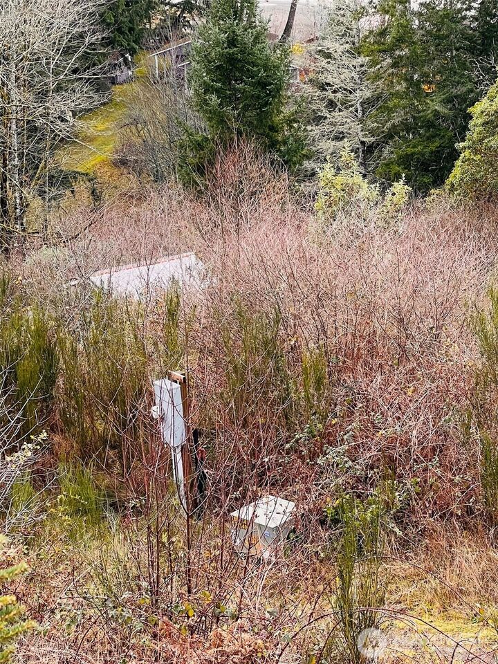 Property Photo:  3841 E State Route 302  WA 98528 