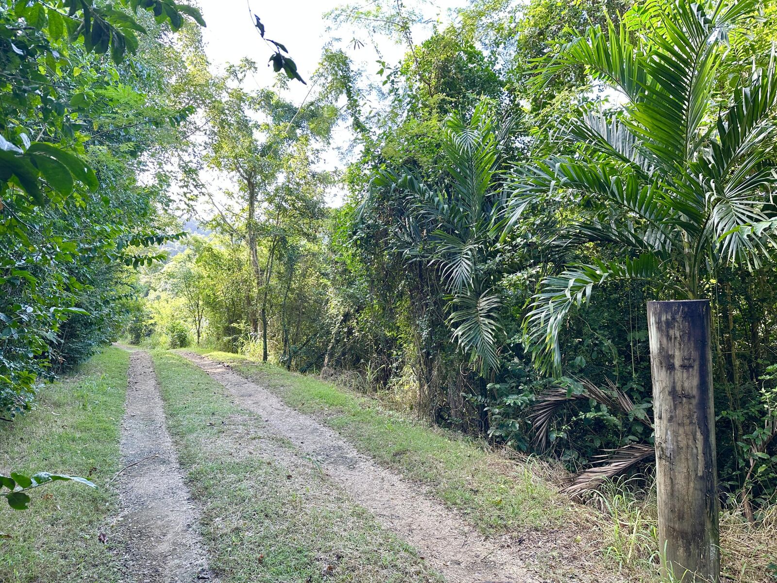 Property Photo: 7-B Jolly Hill We VI 00840