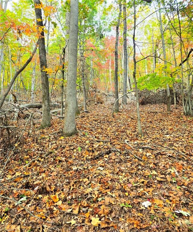 Property Photo:  000 Mertie Road  NC 28651 