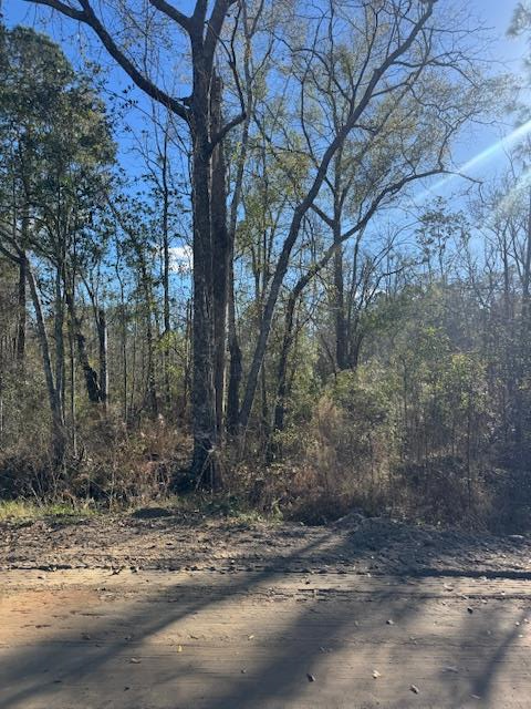 Property Photo: Lot 3 Caulie Harris Rd. GA 31620
