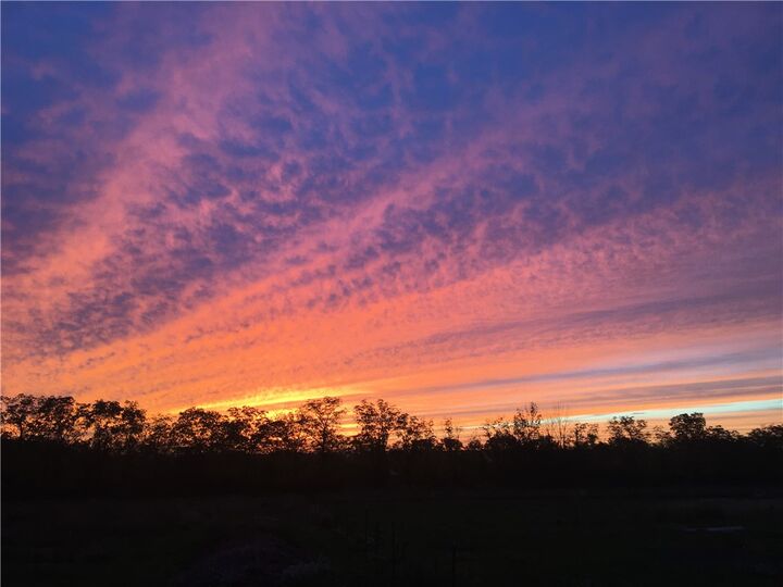 Property Photo:  8850 Route 414  NY 14860 