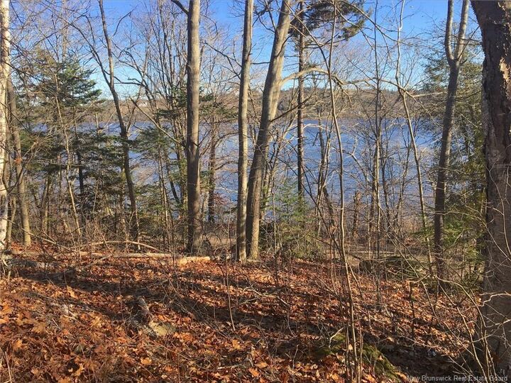 - Norton Shore — photo 1