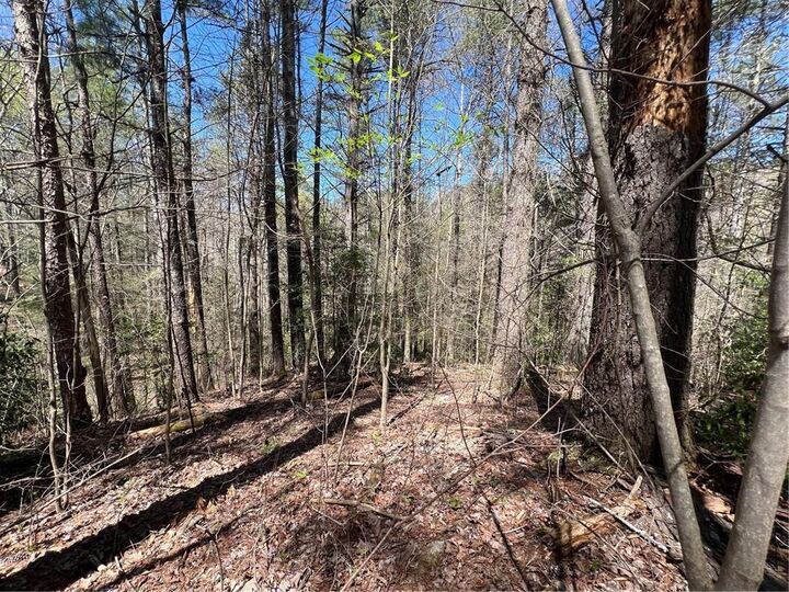 Property Photo:  0 Trout Line Court  GA 30175 