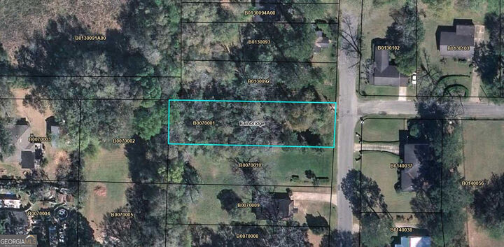 Property Photo:  709 N Miller Avenue  GA 39817 