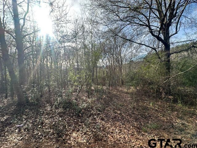 Property Photo: Tbd Cr 286 TX 75946