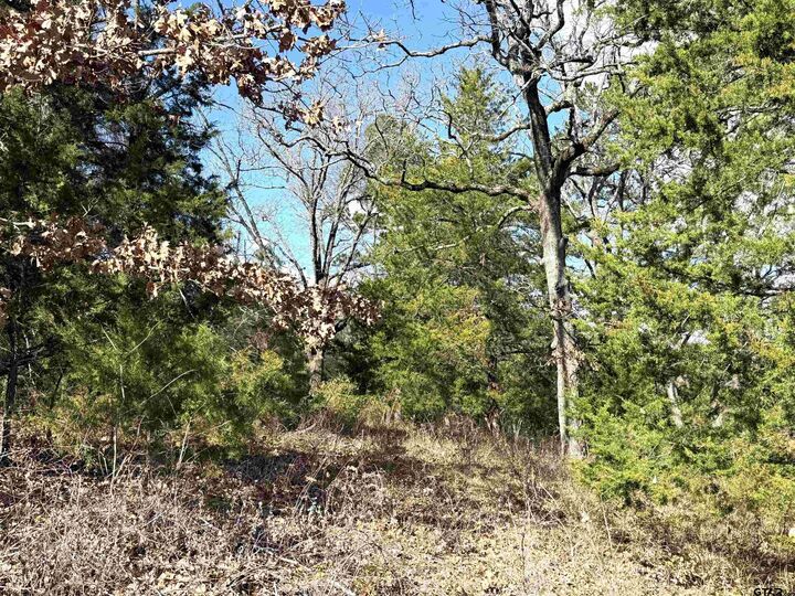 Property Photo:  15899 Crazyhorse  Drive  TX 75771 