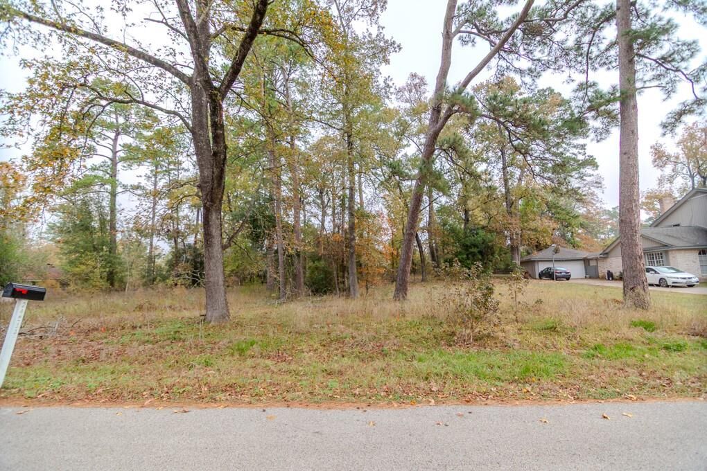 Property Photo:  24510 Pine Canyon Dr  TX 77380 