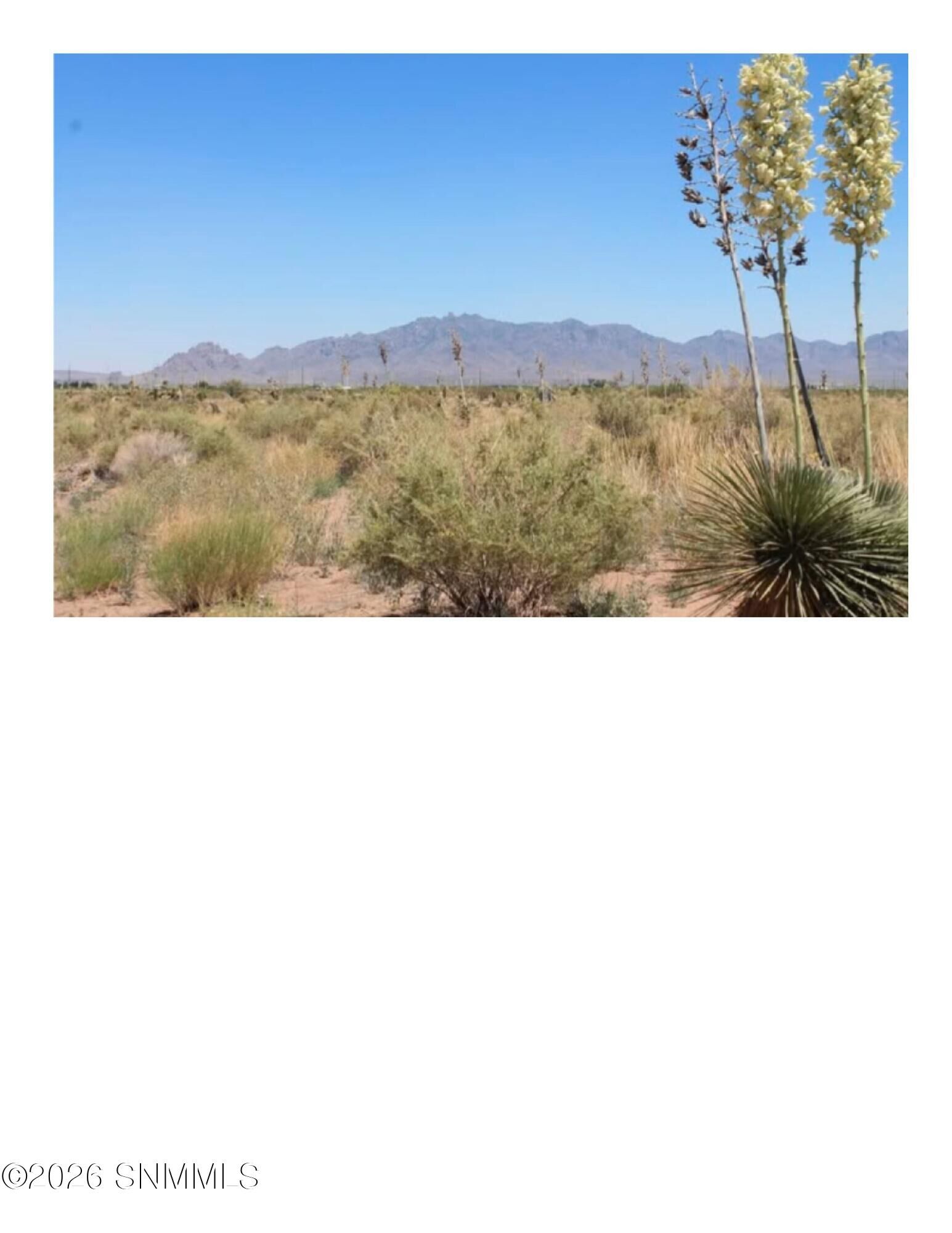 Property Photo:  0000 SW Paintbrush Road Road  NM 88030 