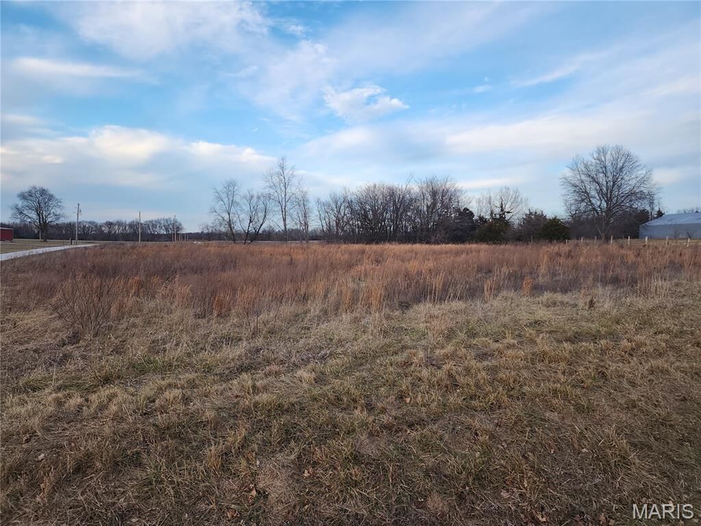 Property Photo: 0 Mac Lane MO 63379