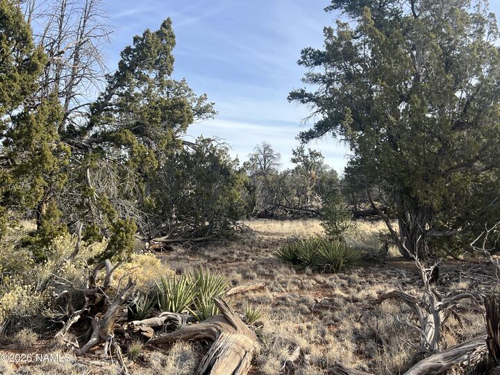 Property Photo:  Lot 186A Bull Run Road  AZ 86046 