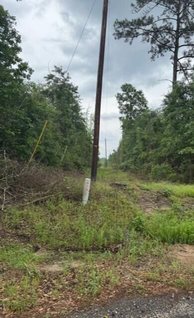 Property Photo:  Shirley Loop  LA 70634 