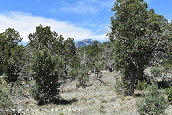 Property Photo:  Tract 1&3 Silver Fox Lane  NM 88312 