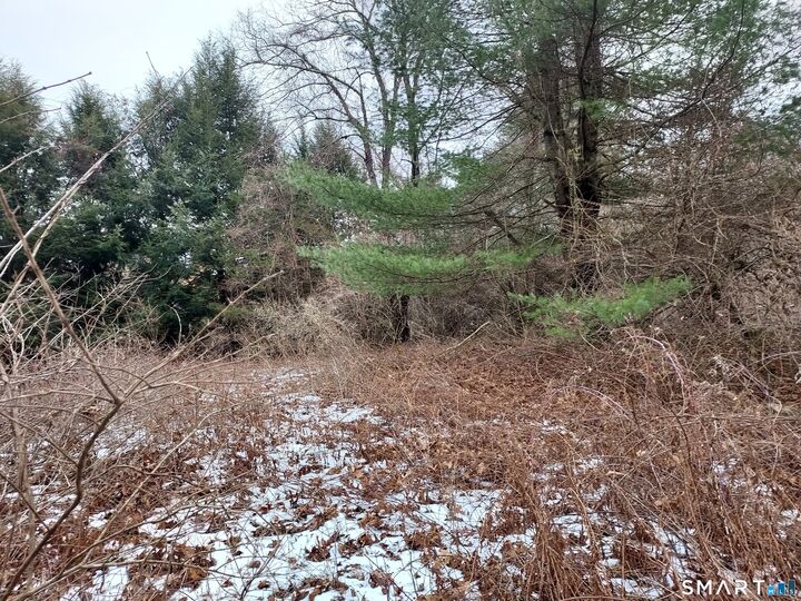 Property Photo:  8 Times Farm Road  CT 06232 