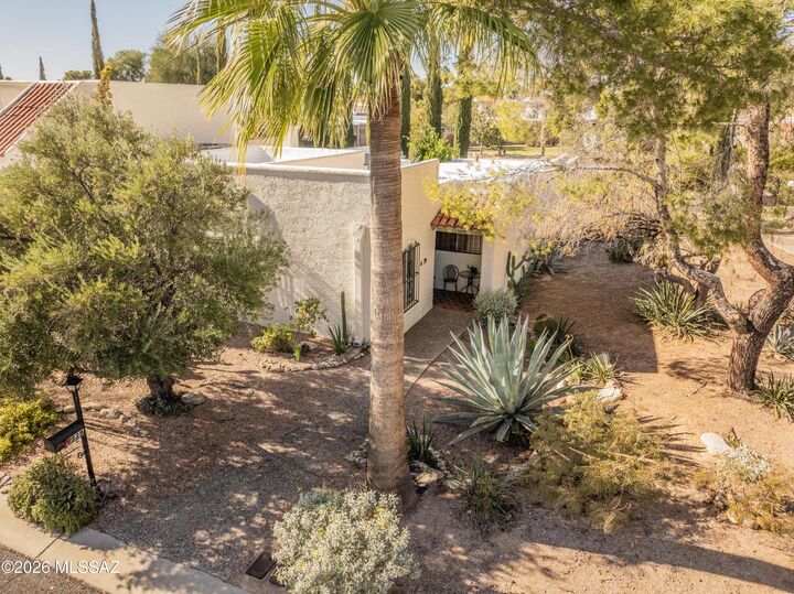 Property Photo: 6339 N Orange Tree Drive AZ 85704