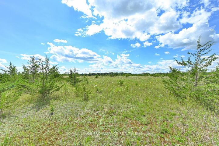 Property Photo:  1575 Marysville Road  ON K0K 2N0 