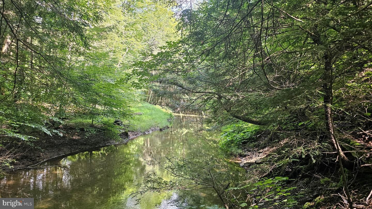 Property Photo:  91.32 Acres Mahaffey Grampian Highway  PA 15757 