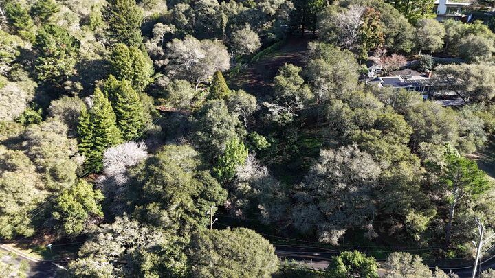 Property Photo:  1488 Alvarado Rd.  CA 94705 