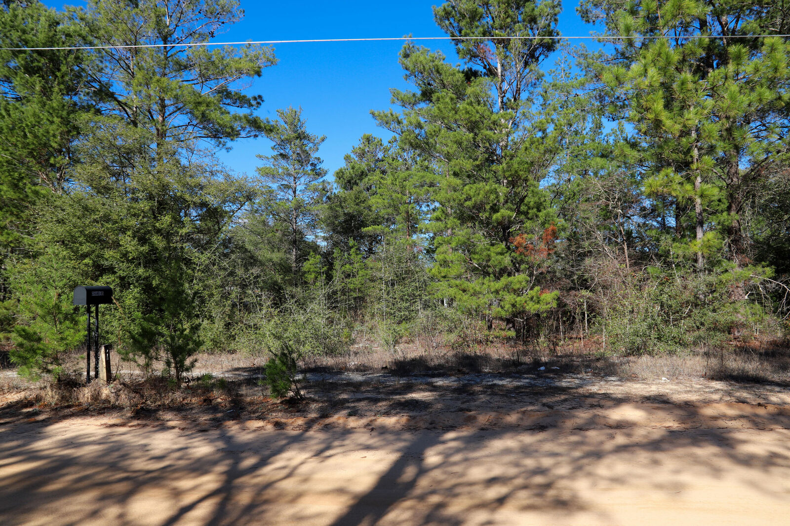 Property Photo:  Lot 24 E Marigold Avenue  FL 32433 