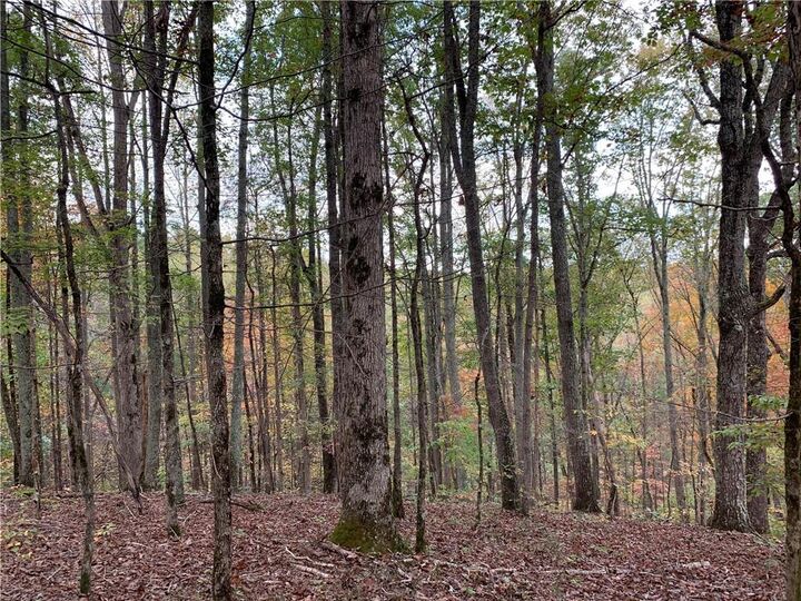 Property Photo:  128 Adair Drive  GA 30734 