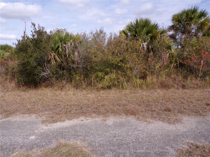 Property Photo:  Magellan Street  FL 34288 