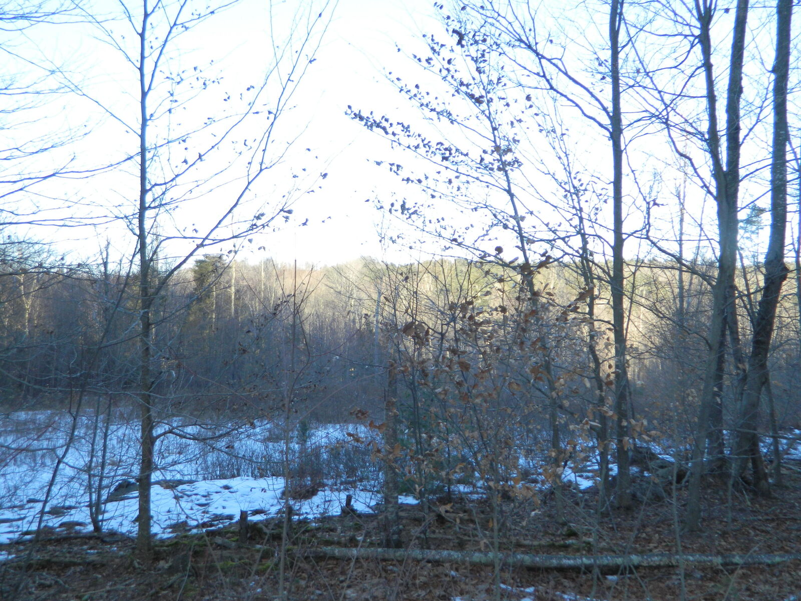 Property Photo:  R6-41-S5 Ridley Road  ME 04083 