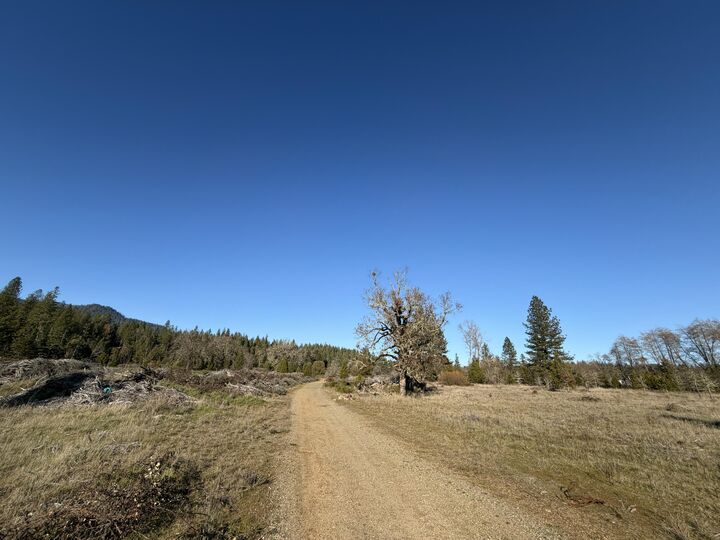 Property Photo:  150 Illinois River Road  OR 97538 