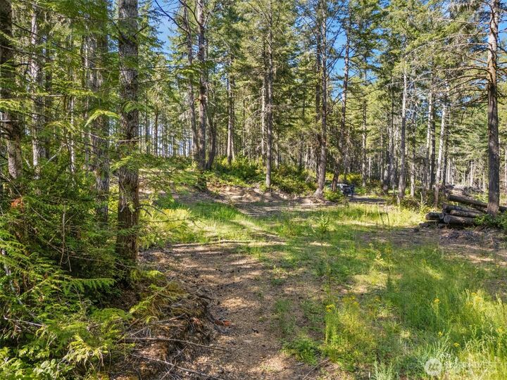 Property Photo:  0 Tr 4 E Mason Lake Road  WA 98546 