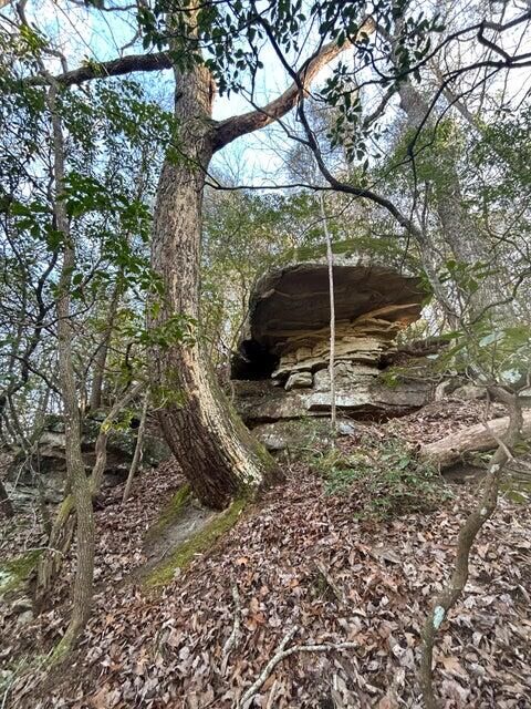 Property Photo:  5 Deerhead Road  TN 37327 