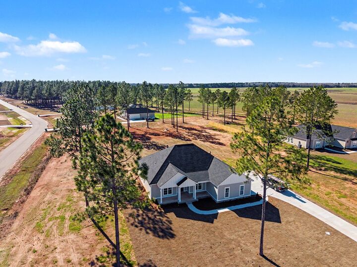 Property Photo:  119 Stornoway Drive  GA 31763 