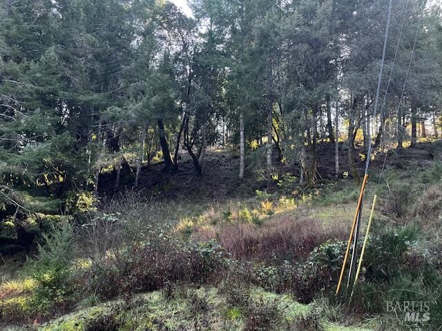 Property Photo:  24583 Cypress Drive  CA 95490 