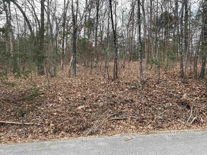 Property Photo:  010-05456-000 McCain Drive  AR 72653 