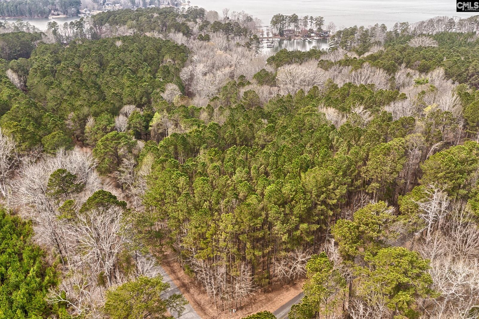 Property Photo:  0 N Ivy Link  SC 29070 