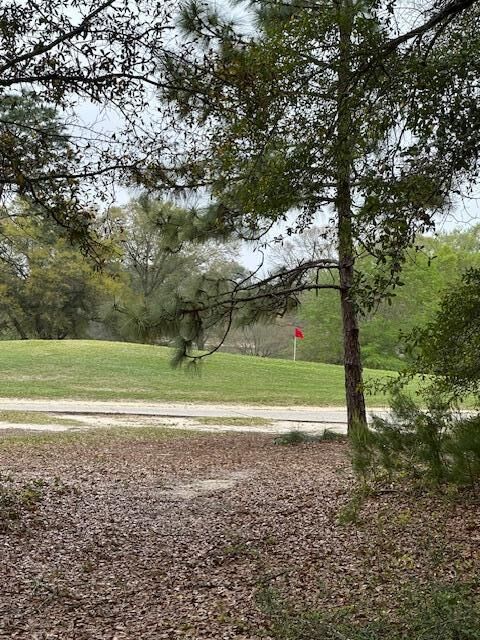 Property Photo:  446 Marion Drive  FL 32578 