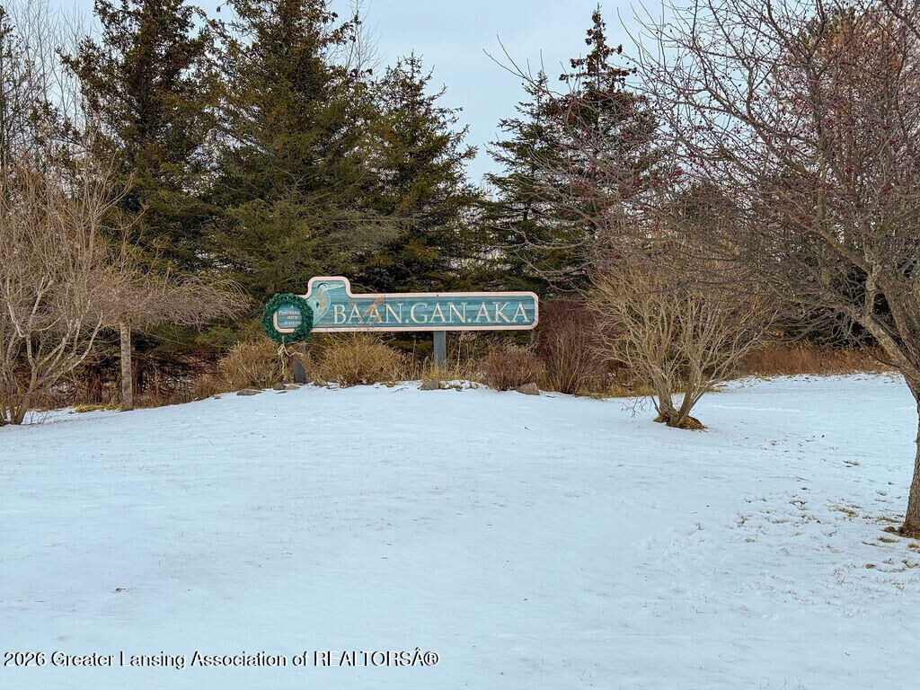 Property Photo:  101 Daggertail Lane  MI 48864 