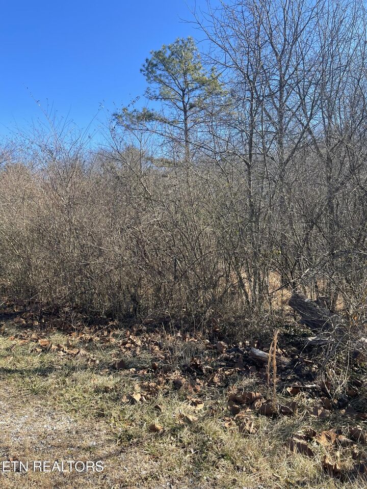 Property Photo: Livesay St TN 38555