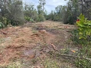 Property Photo:  Lakeside Drive  FL 32720 