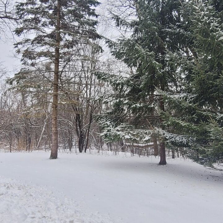 Property Photo:  3036 Norman Dr  WI 53090 