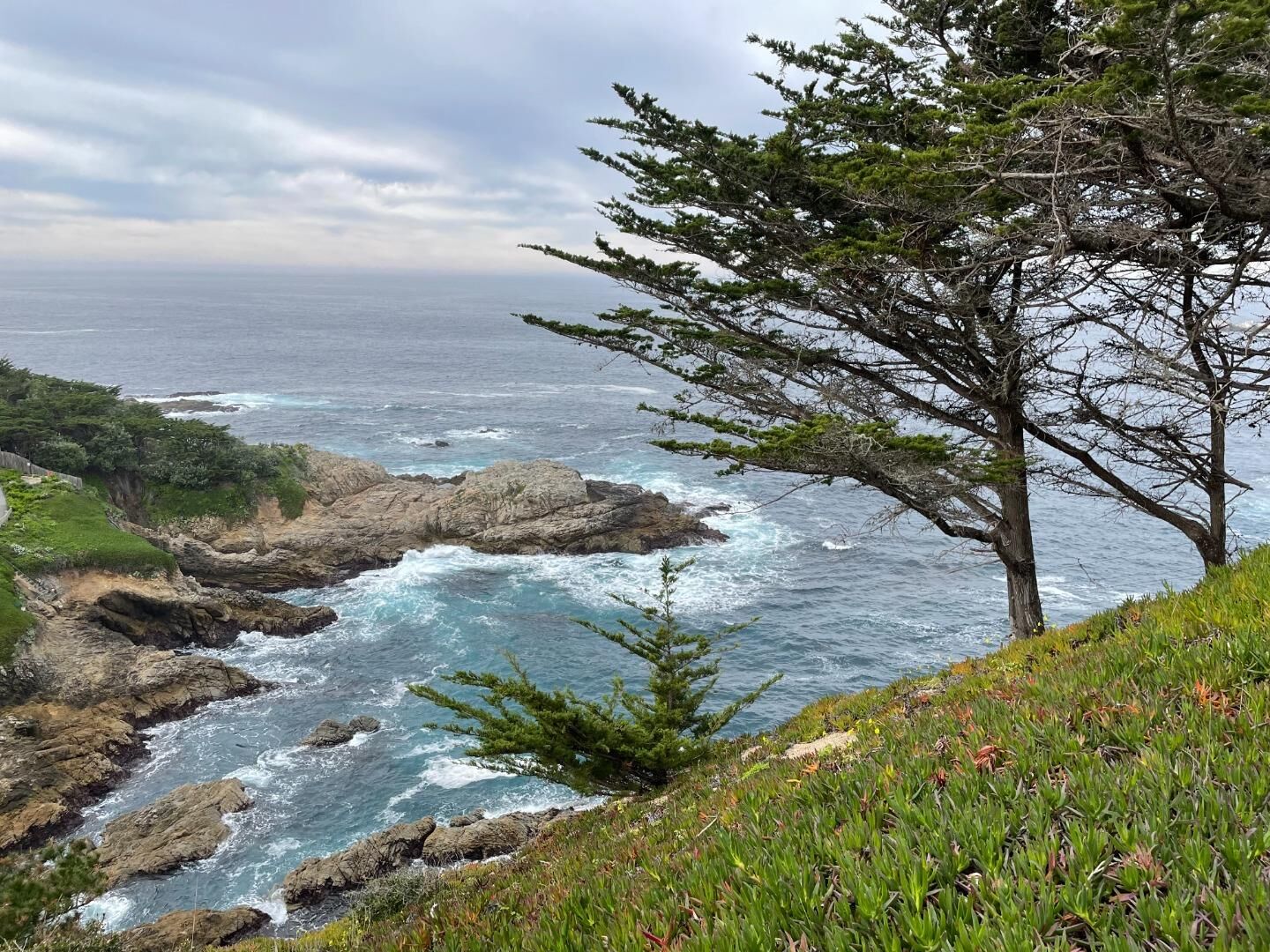 Property Photo:  142 Carmel Riviera Drive  CA 93923 