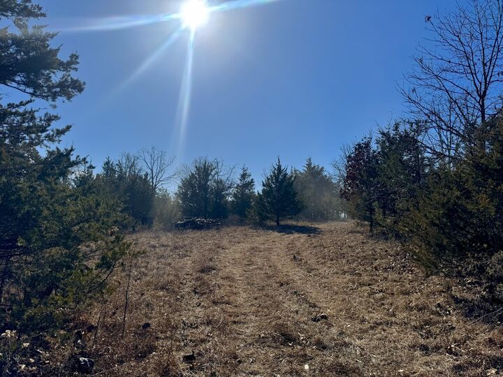 Property Photo:  000 Cottengim Road  MO 65702 