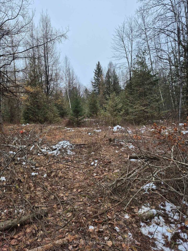 Property Photo: 2819 Cowell Road ON K0A 2T0