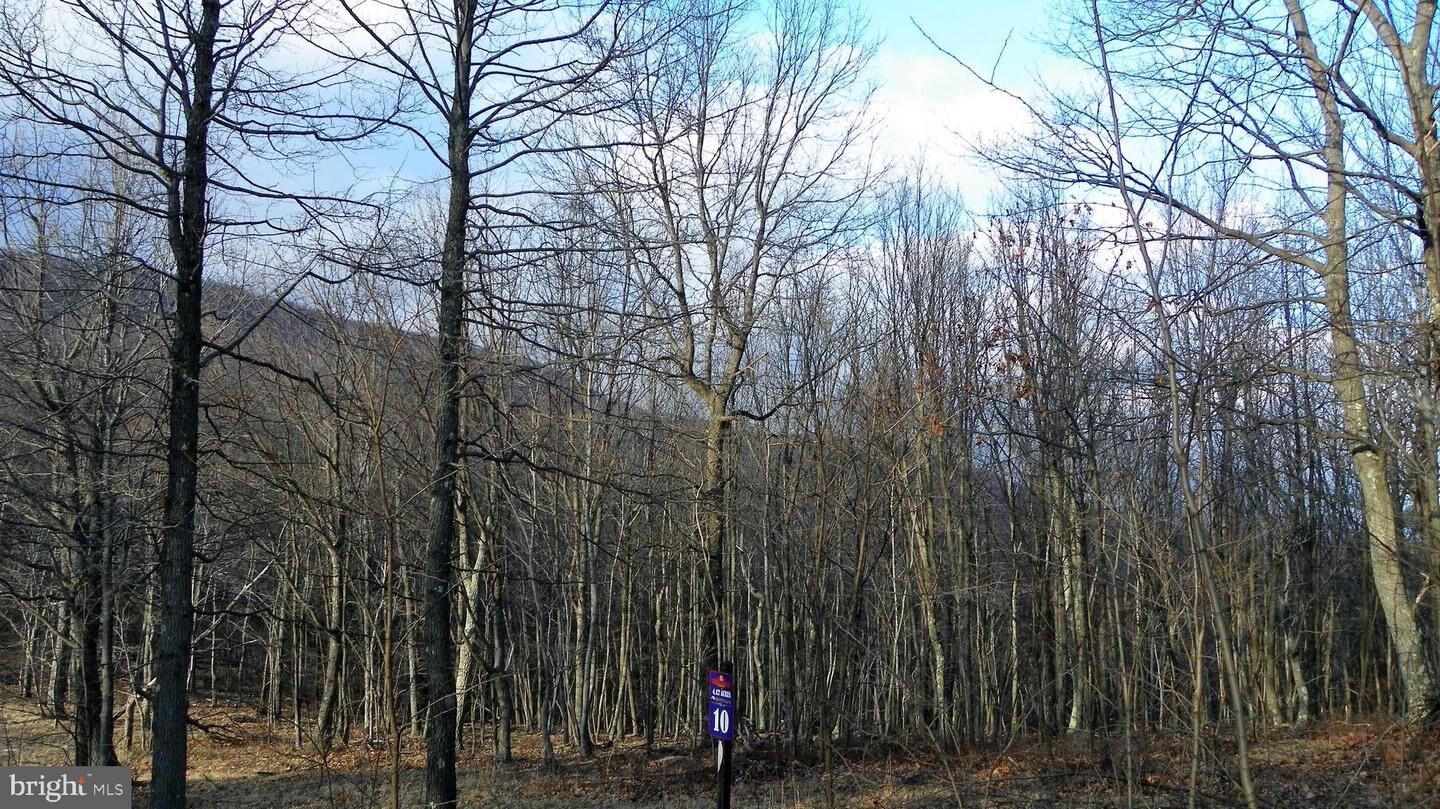 Property Photo:  16326 Laurelhurst Boulevard  MD 21502 