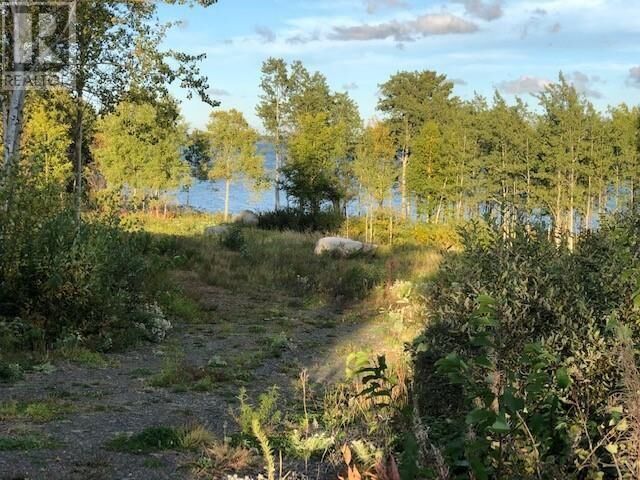 Property Photo:  202 Comfort Cove Road  NL A0G 3A0 