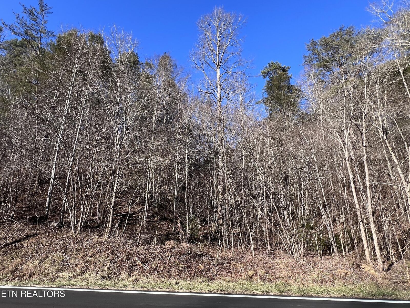 Property Photo:  Lot 17 & 18 Jones Cove Rd  TN 37876 
