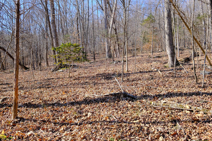 Property Photo: 166 Regal Avenue KY 42501