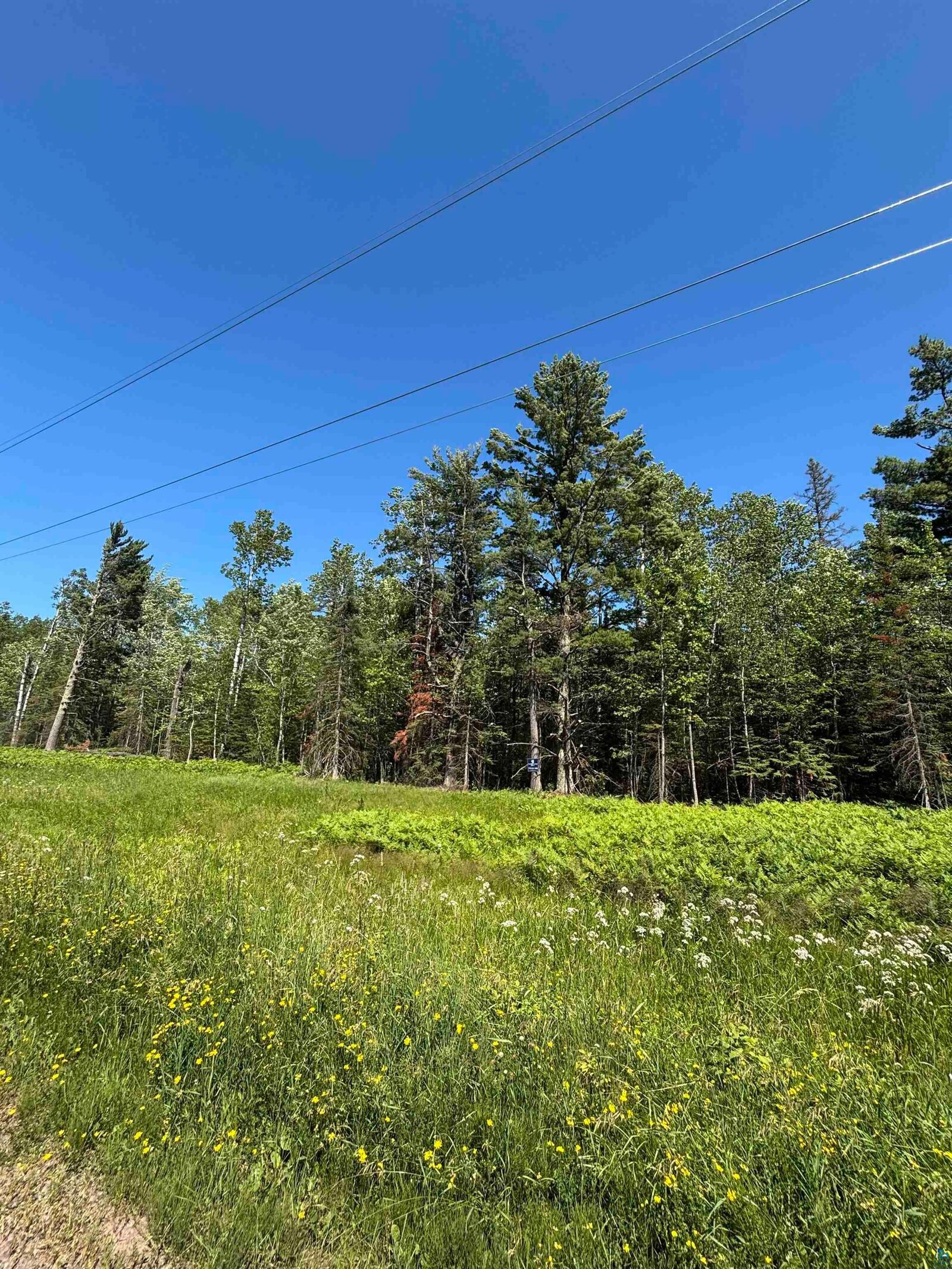 Property Photo: 000 Airport Rd WI 54865