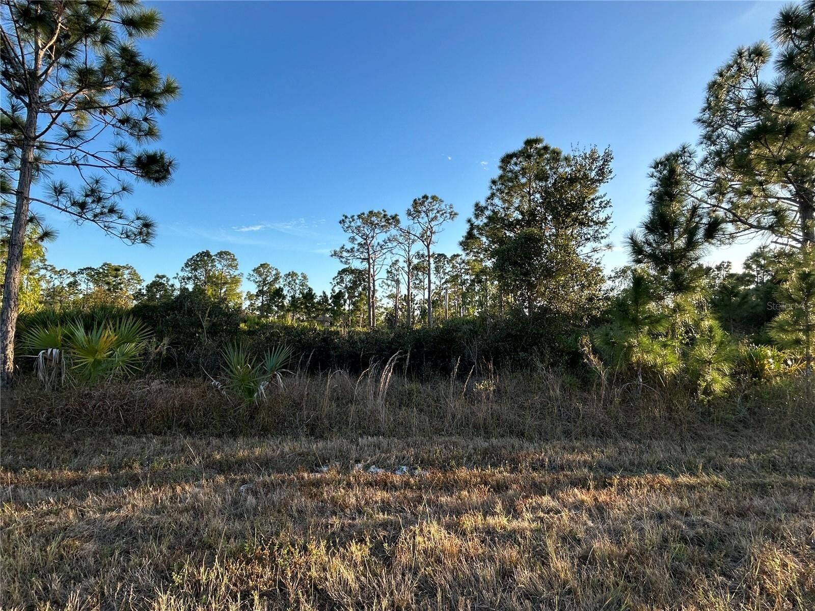 Property Photo: 12157 Gisinger Boulevard FL 33981